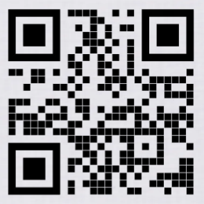 PULLP QR Code